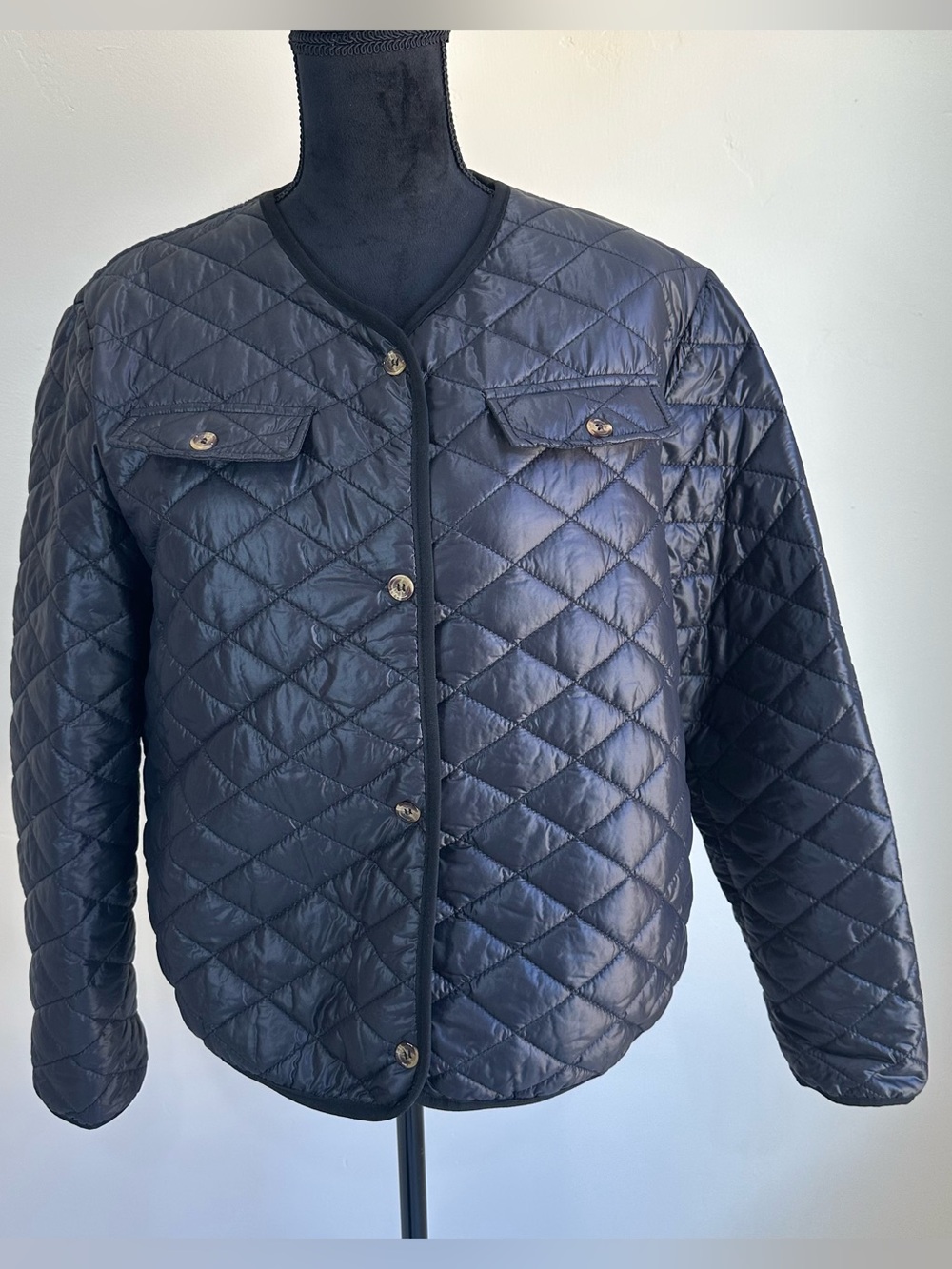 Women’s Quilted Button-Front Jacket in Black Slim Size 2XL